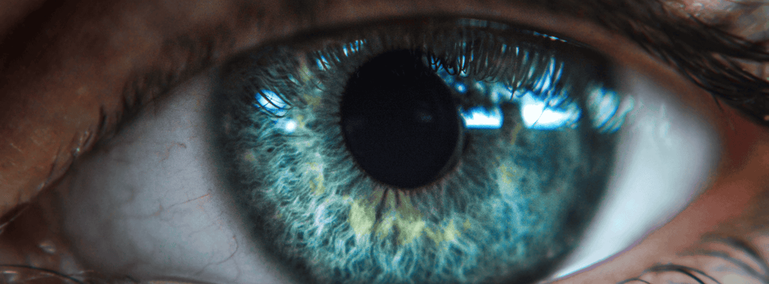 Visualisation